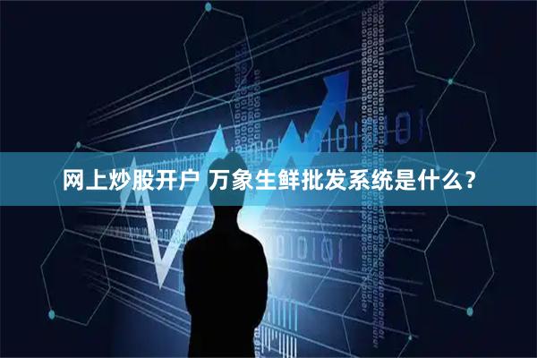 网上炒股开户 万象生鲜批发系统是什么？
