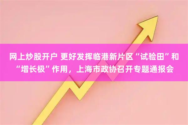 网上炒股开户 更好发挥临港新片区“试验田”和“增长极”作用，上海市政协召开专题通报会